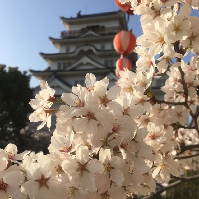 まみのタイムライン641461-09-06 03:02:37投稿画像