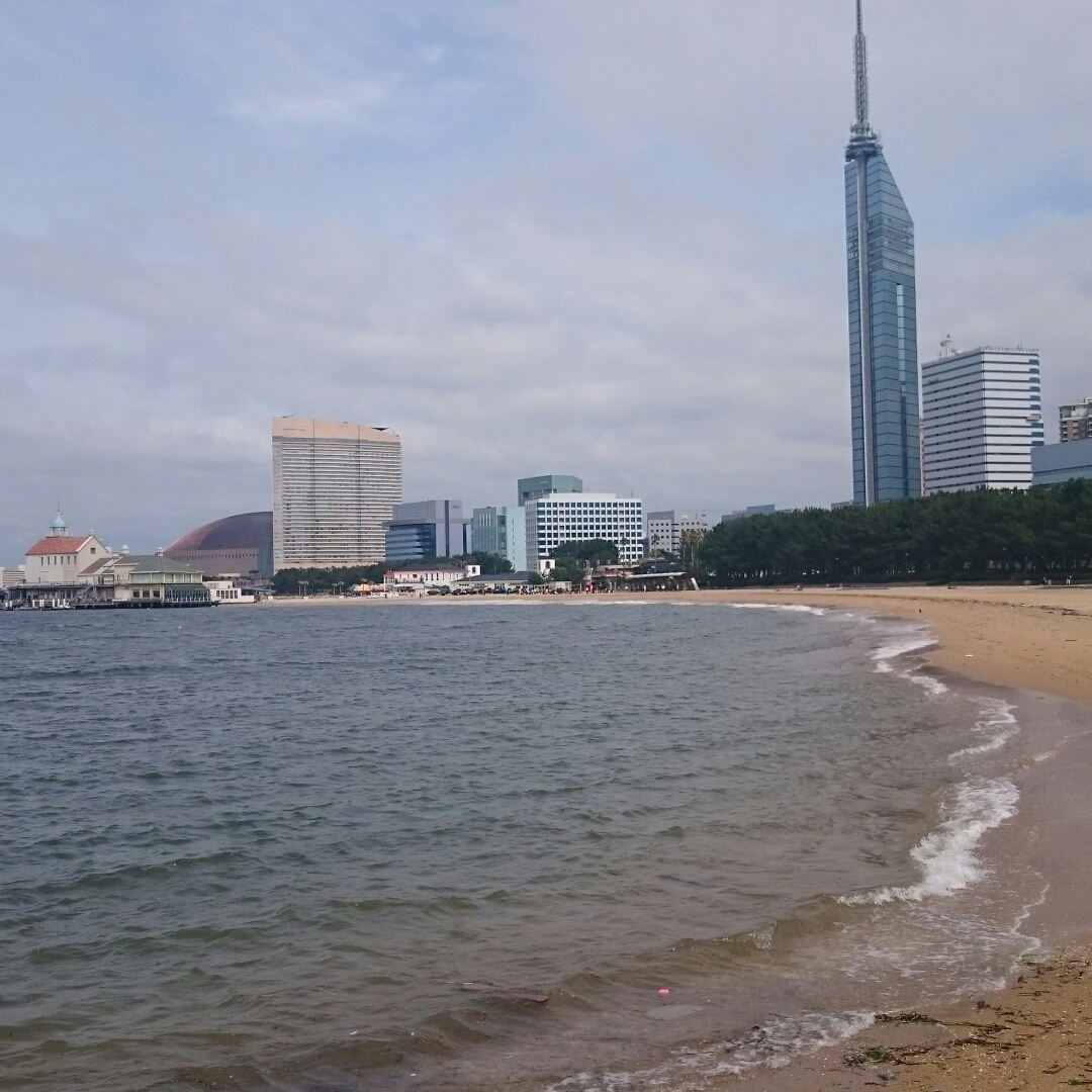 ライチのタイムライン641468-05-01 08:49:05投稿画像