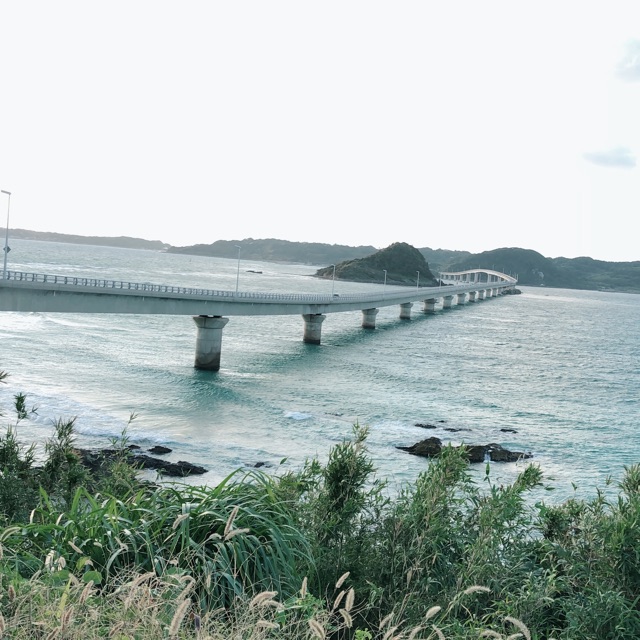 しーちゃんのタイムライン641483-08-31 21:08:31投稿画像