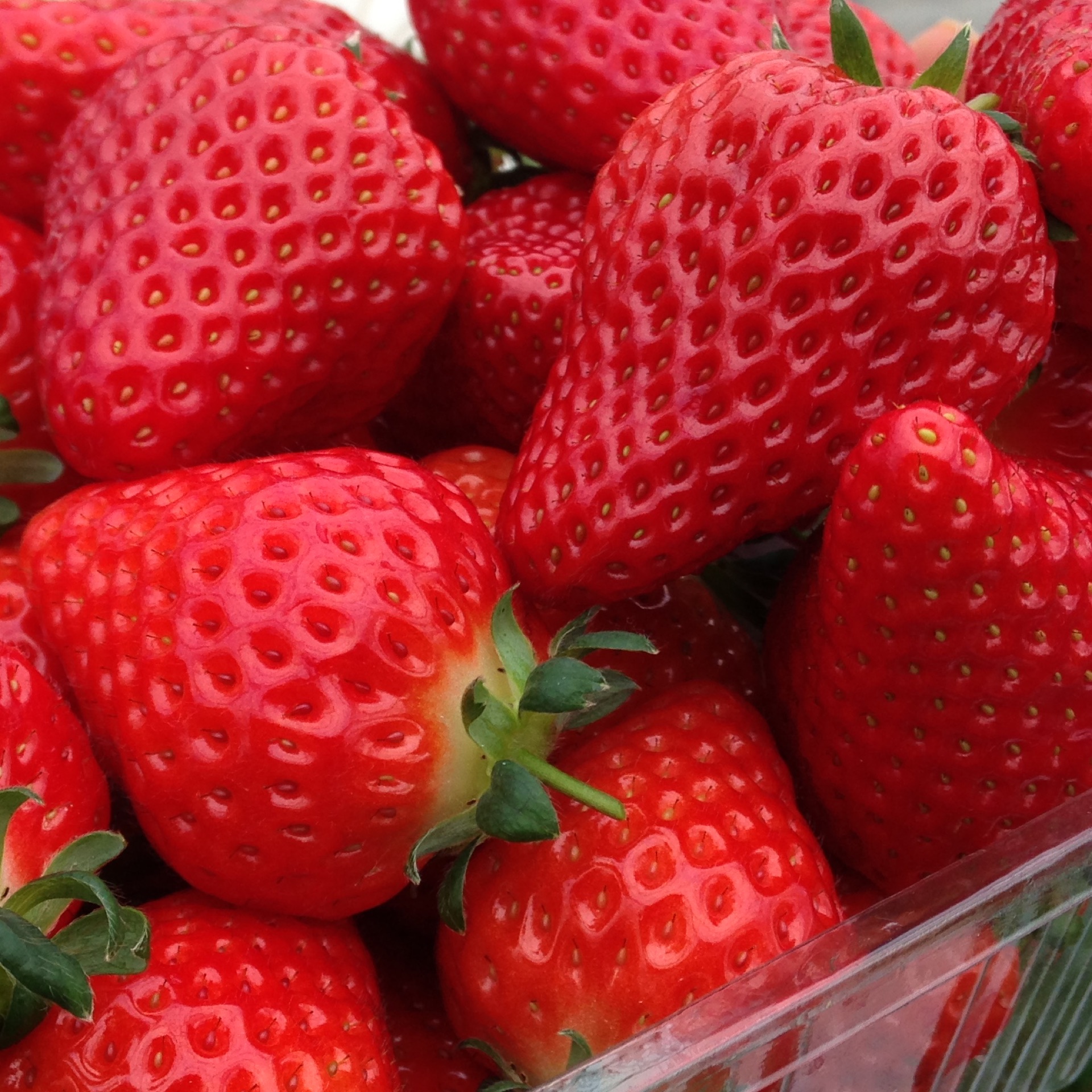 みなのタイムライン641483-12-04 07:32:28投稿画像