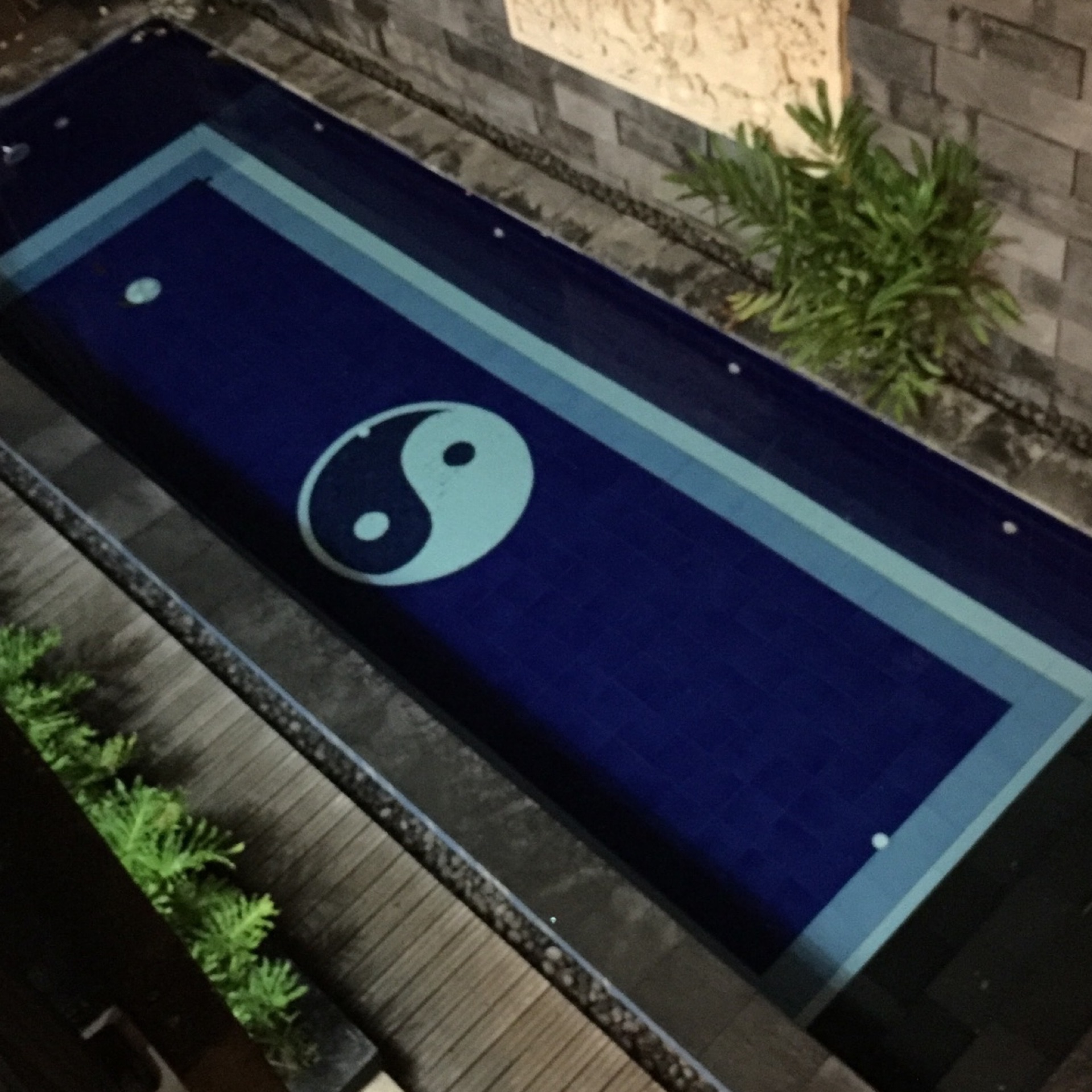 さくらのタイムライン641769-07-01 10:37:23投稿画像