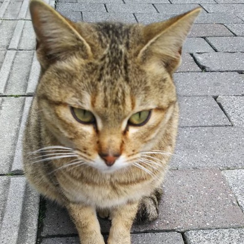 さえぴょんのタイムライン641775-07-09 13:32:25投稿画像