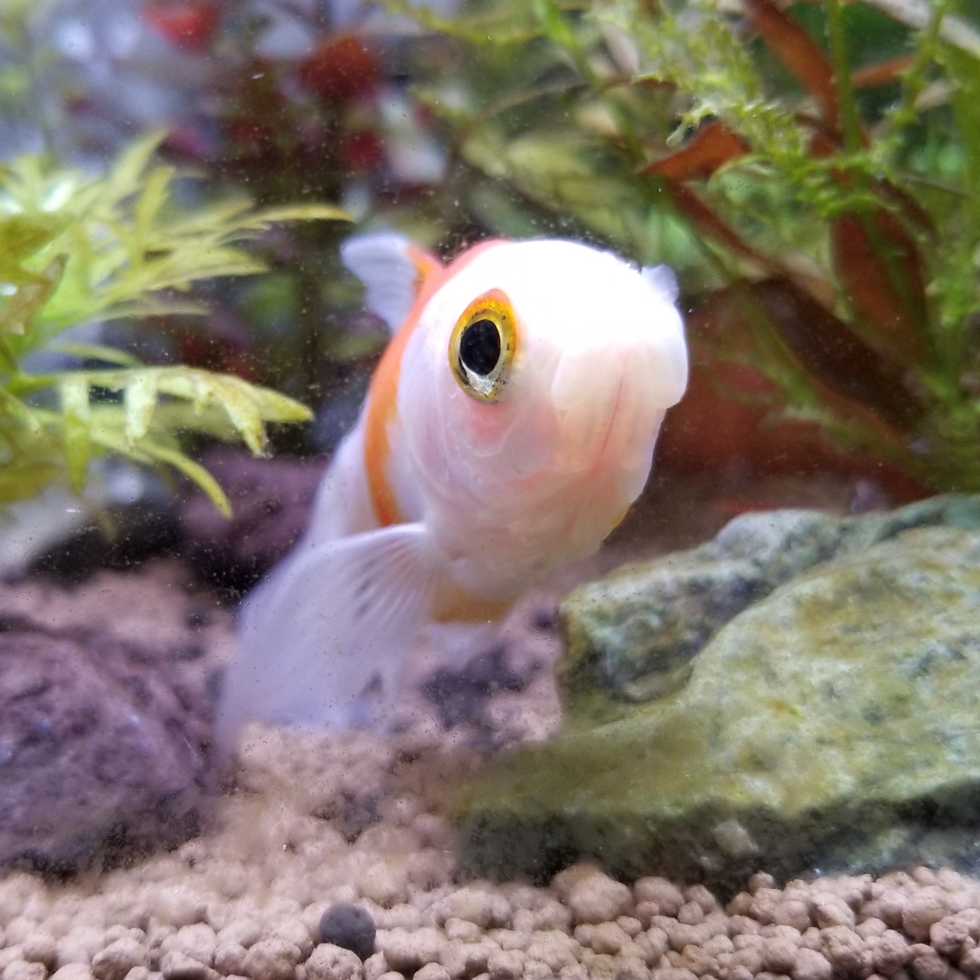 さえぴょんのタイムライン641775-07-09 13:34:17投稿画像