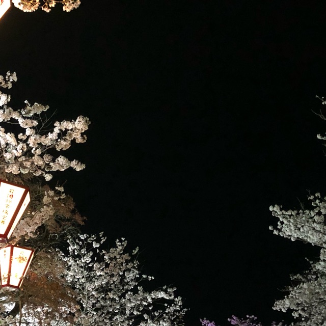 りおんのタイムライン641778-08-05 13:28:33投稿画像