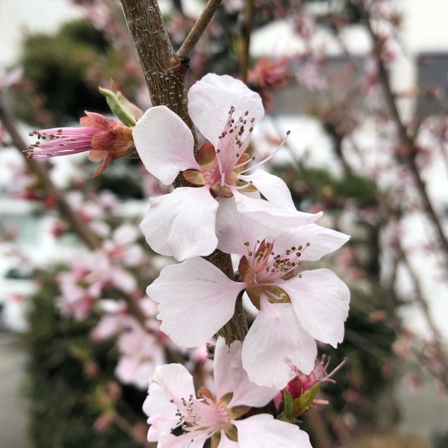 Raraのタイムライン641778-08-06 08:52:09投稿画像