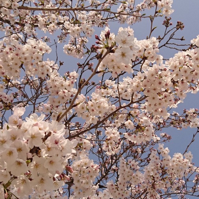 あいのタイムライン641778-08-17 22:10:39投稿画像