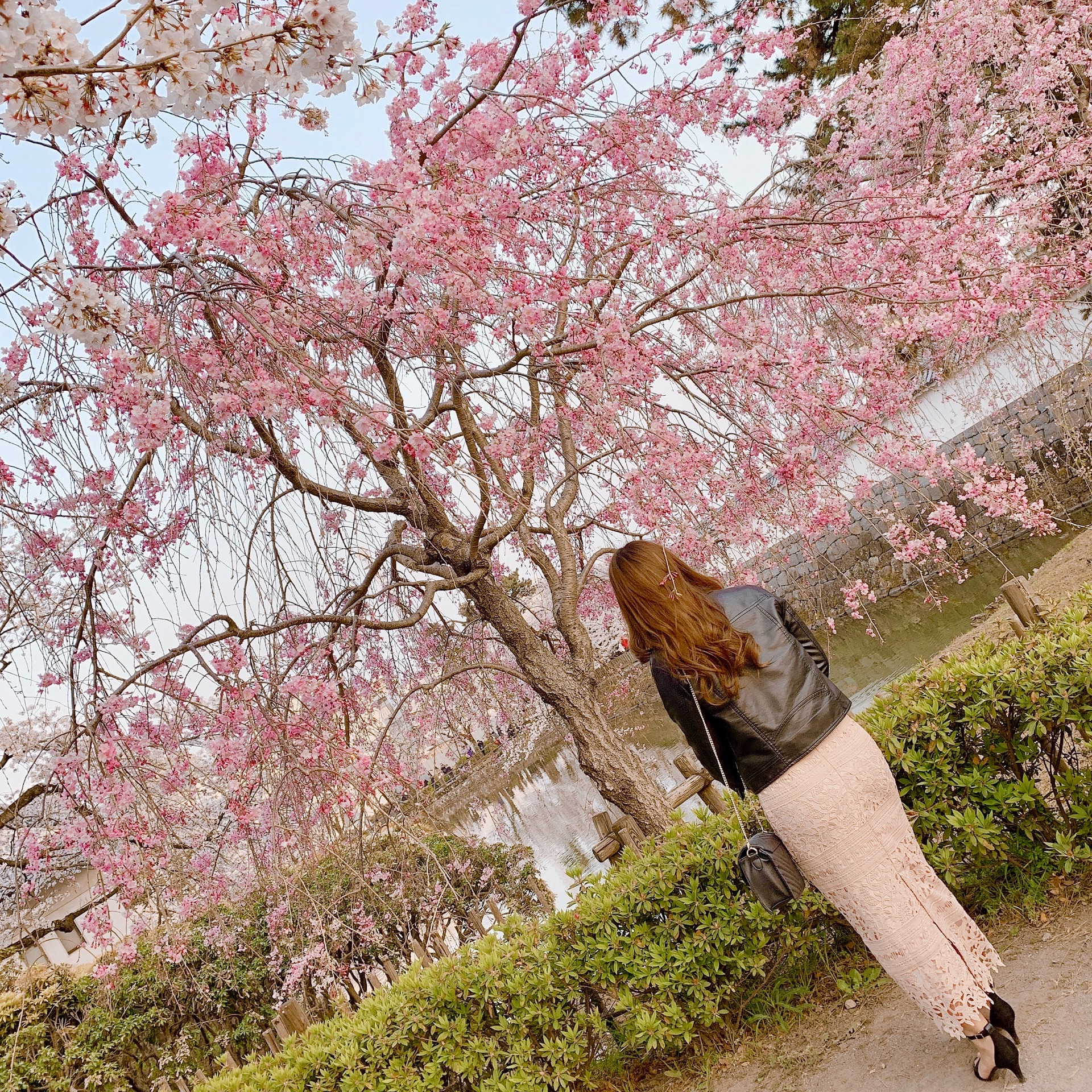 カナのタイムライン641779-03-25 12:00:18投稿画像