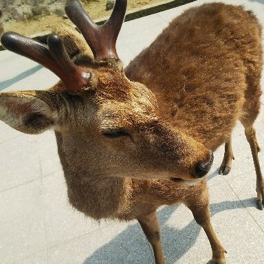 まみのタイムライン641781-07-29 00:45:30投稿画像