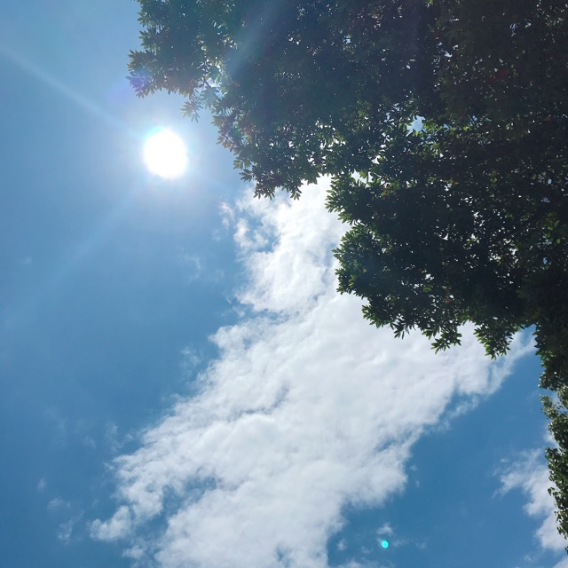 えみかのタイムライン641787-11-17 16:30:55投稿画像