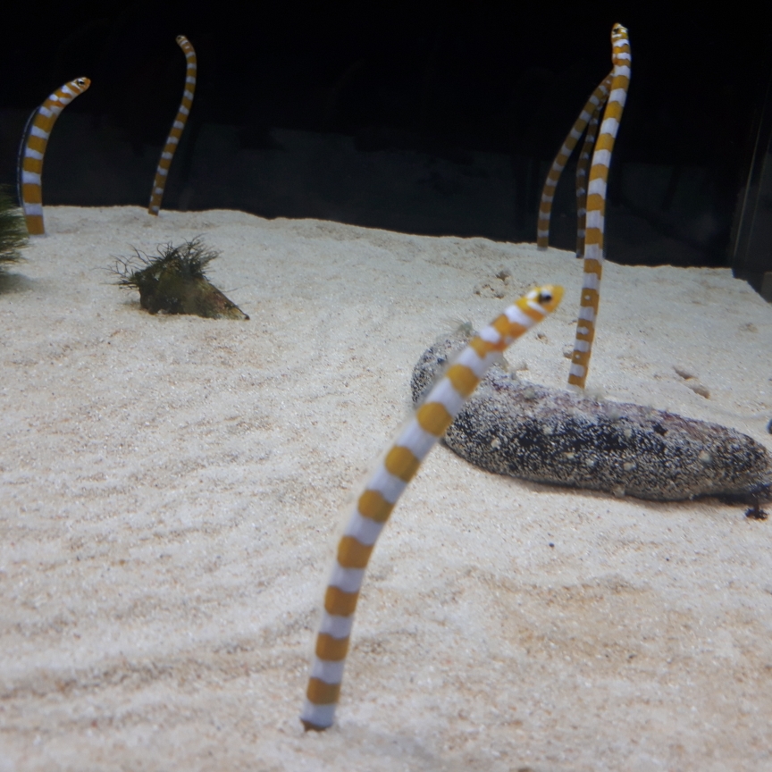 りんかのタイムライン641788-02-06 22:00:52投稿画像