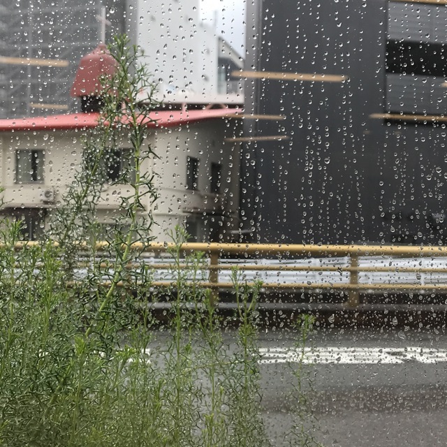 えみかのタイムライン2019-07-21 00:10:11投稿画像