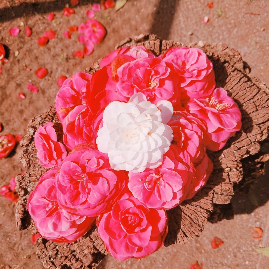 みほのタイムライン641791-06-06 13:04:01投稿画像