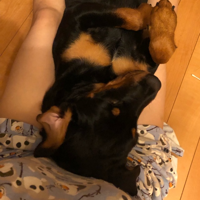 しーちゃんのタイムライン641794-04-12 12:27:31投稿画像