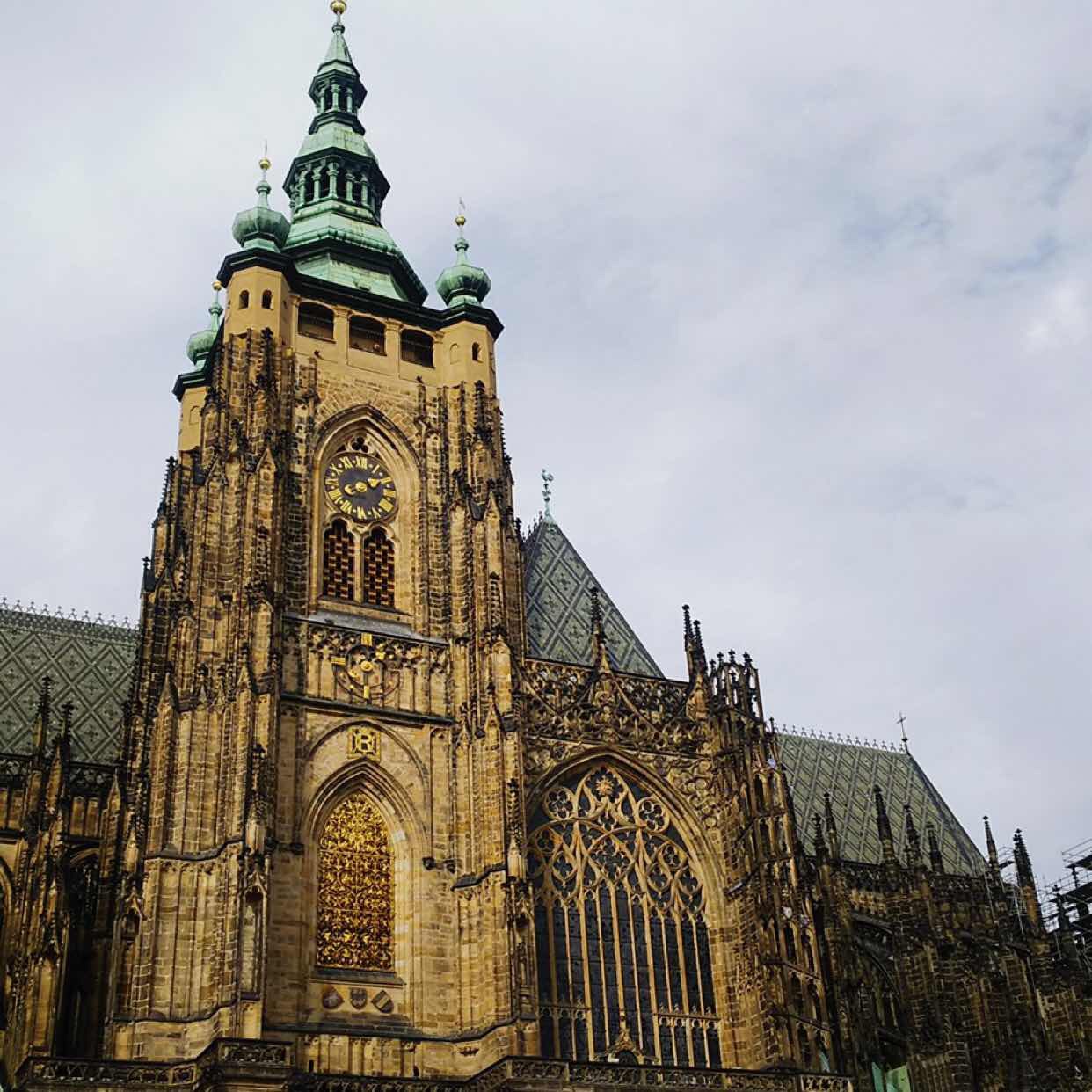 まみのタイムライン2019-10-28 09:34:21投稿画像