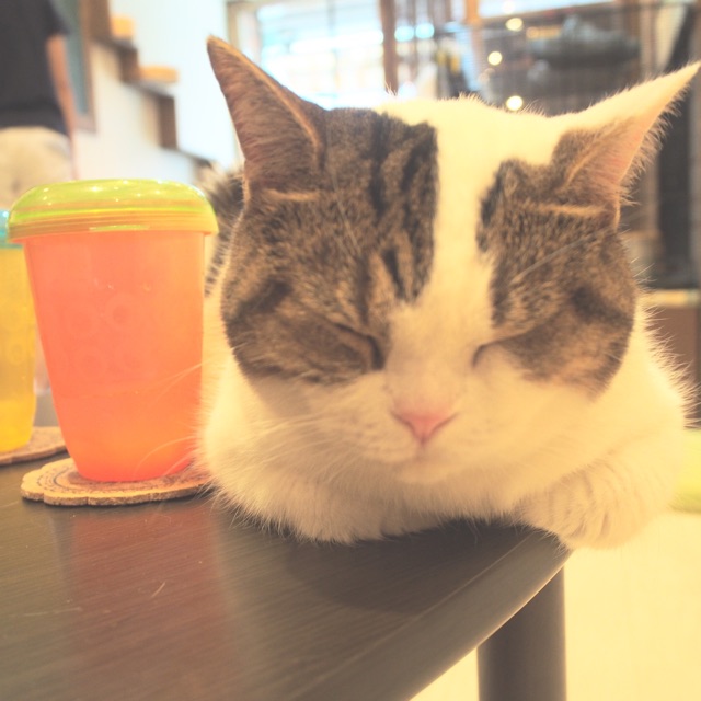 夢奈（Yumena）のタイムライン642086-03-01 17:35:44投稿画像