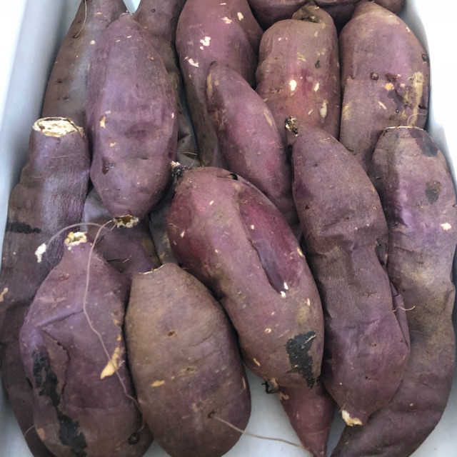 みーのタイムライン2020-03-20 09:25:49投稿画像