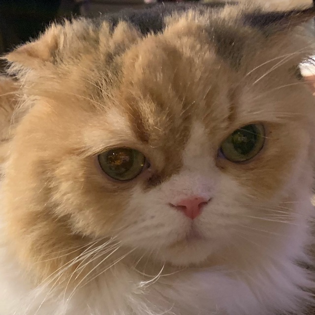 すいのタイムライン642092-09-10 06:20:59投稿画像