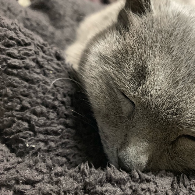 すいのタイムライン642095-08-10 01:30:14投稿画像