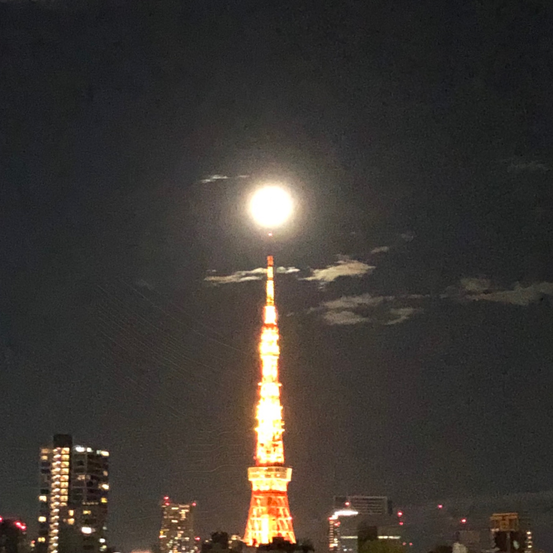 桃ちゃんのタイムライン642098-06-05 19:40:42投稿画像