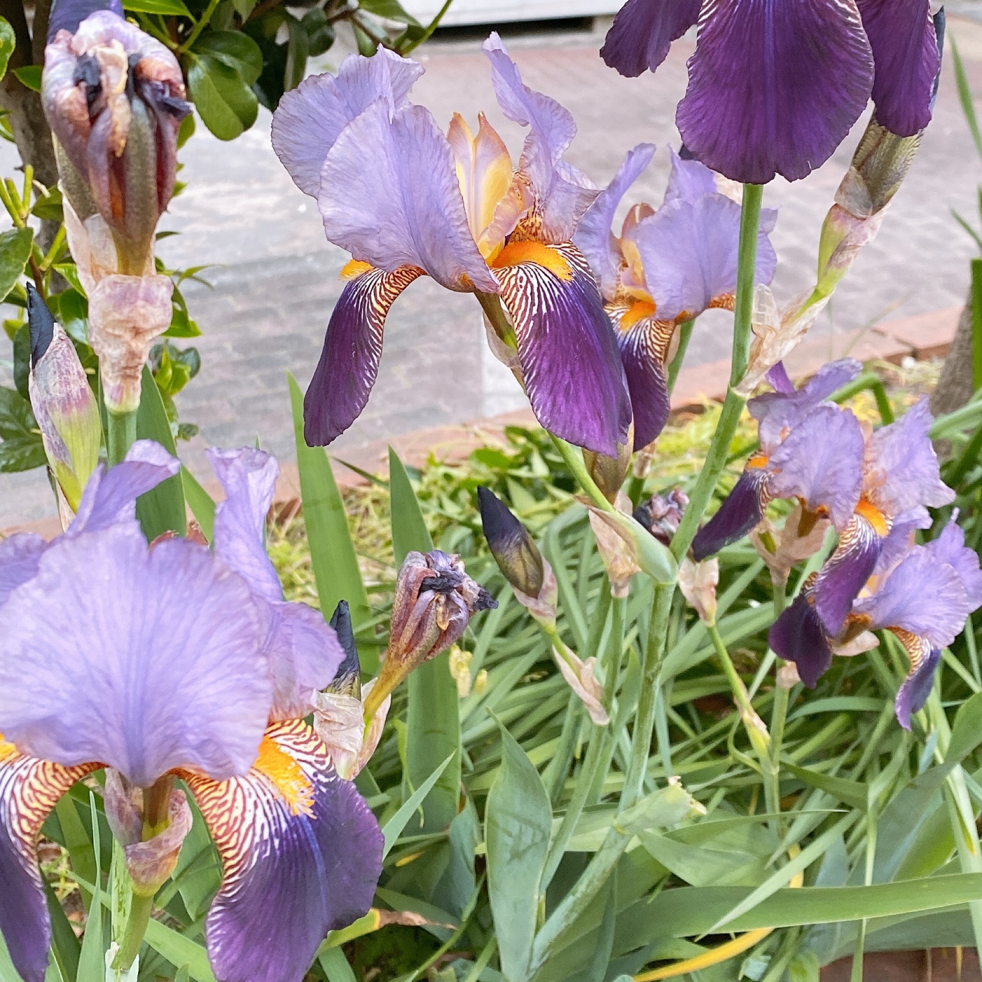 まりあのタイムライン642098-06-29 13:15:03投稿画像