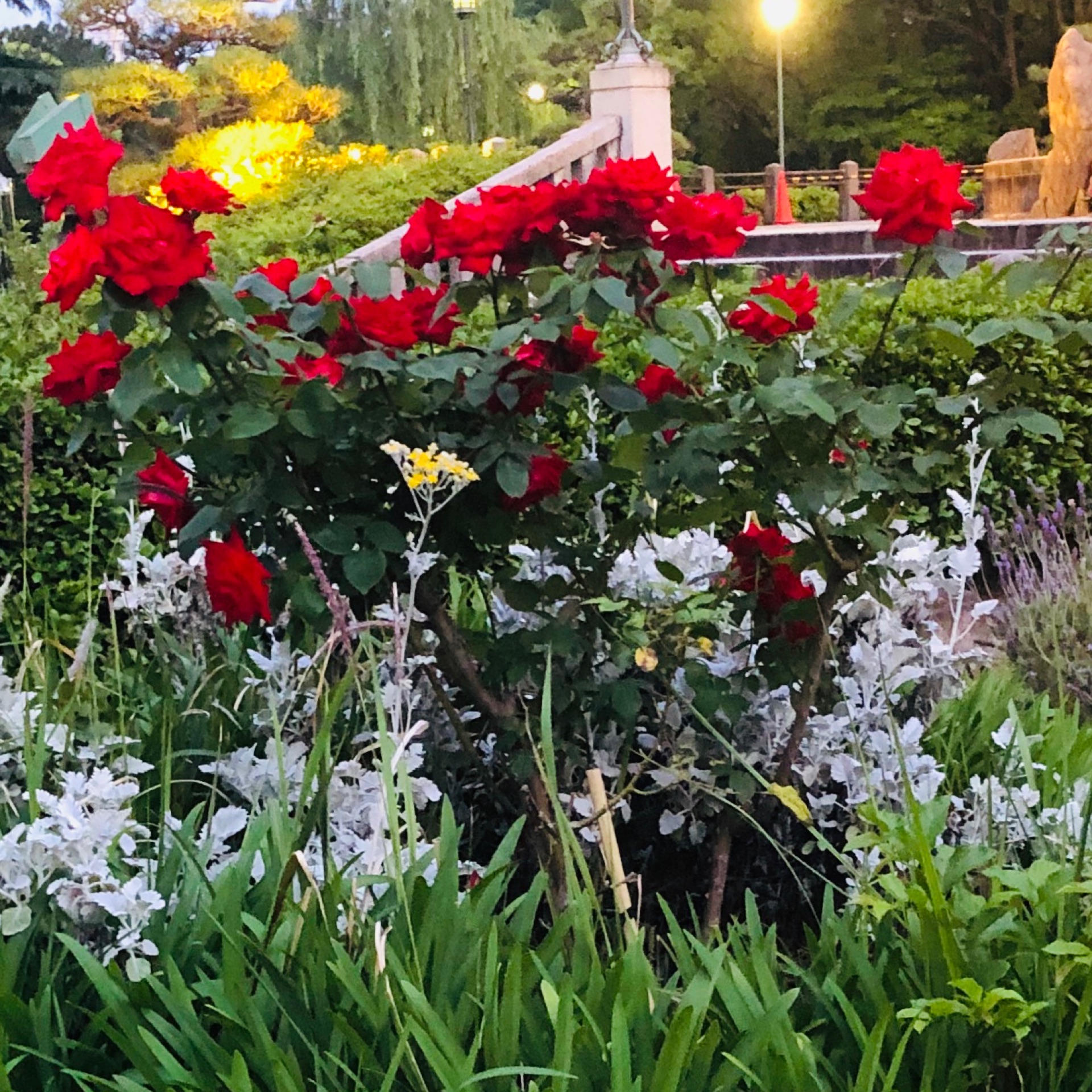 ゆうのタイムライン642099-01-22 12:13:25投稿画像