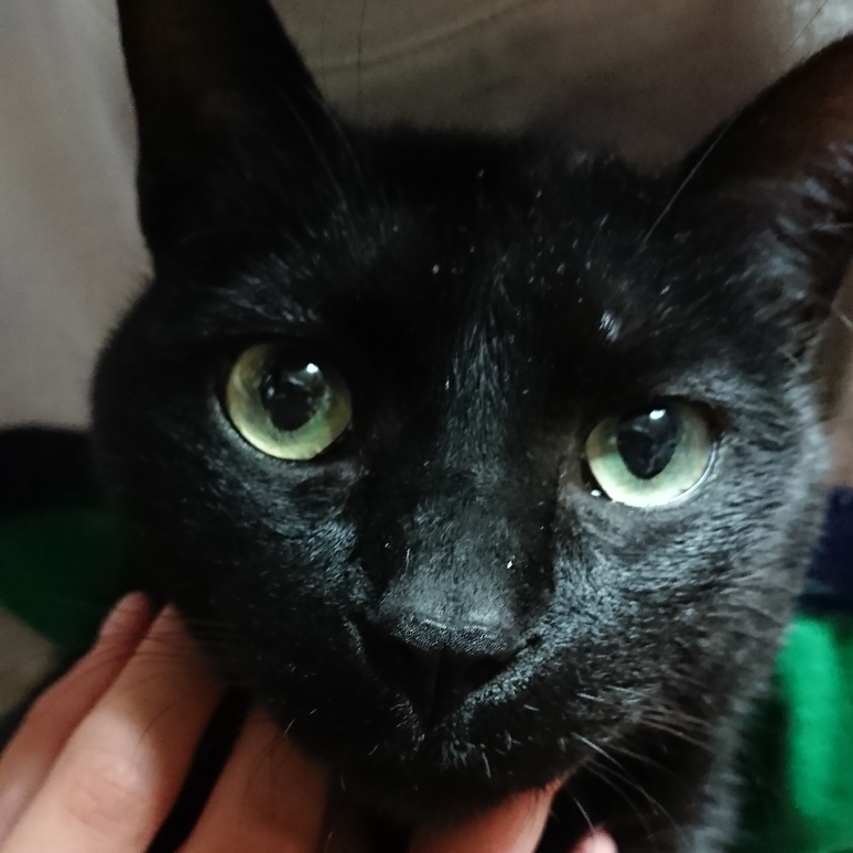 ハルのタイムライン642099-01-23 20:15:54投稿画像