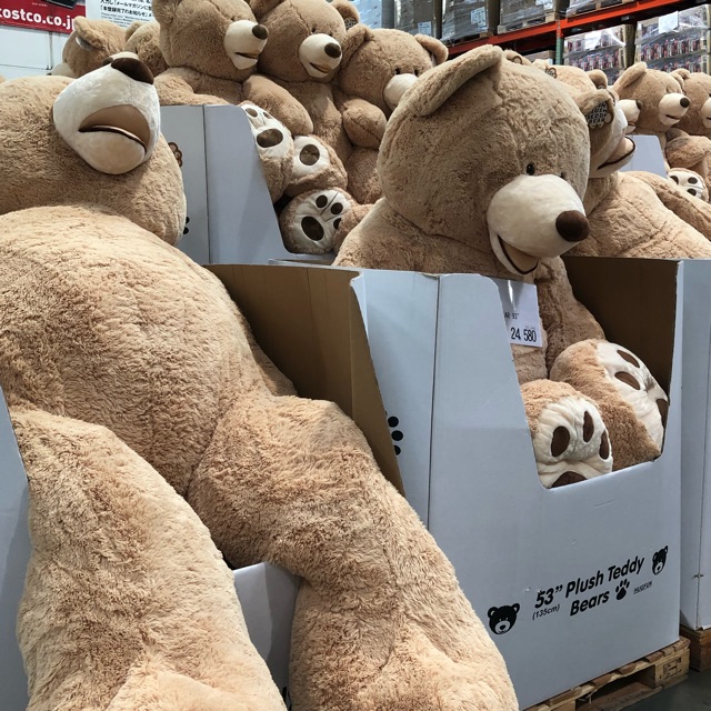 るりのタイムライン642107-11-28 06:34:01投稿画像