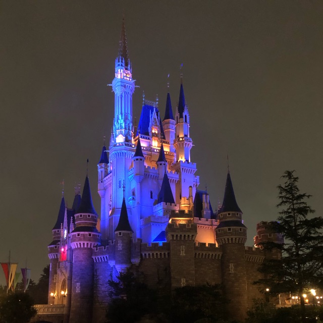 るりのタイムライン642107-11-28 12:15:18投稿画像