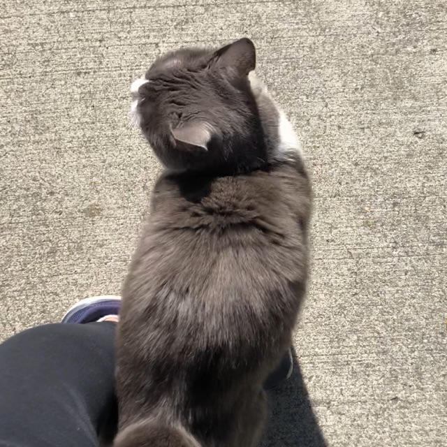 かずはのタイムライン642108-02-05 17:03:48投稿画像