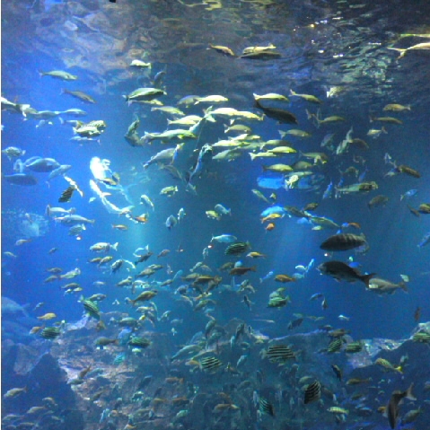 ゆゆのタイムライン642108-10-28 15:48:39投稿画像