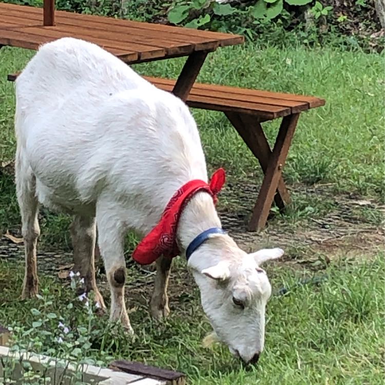 小峰さんのタイムライン642111-09-16 00:50:22投稿画像