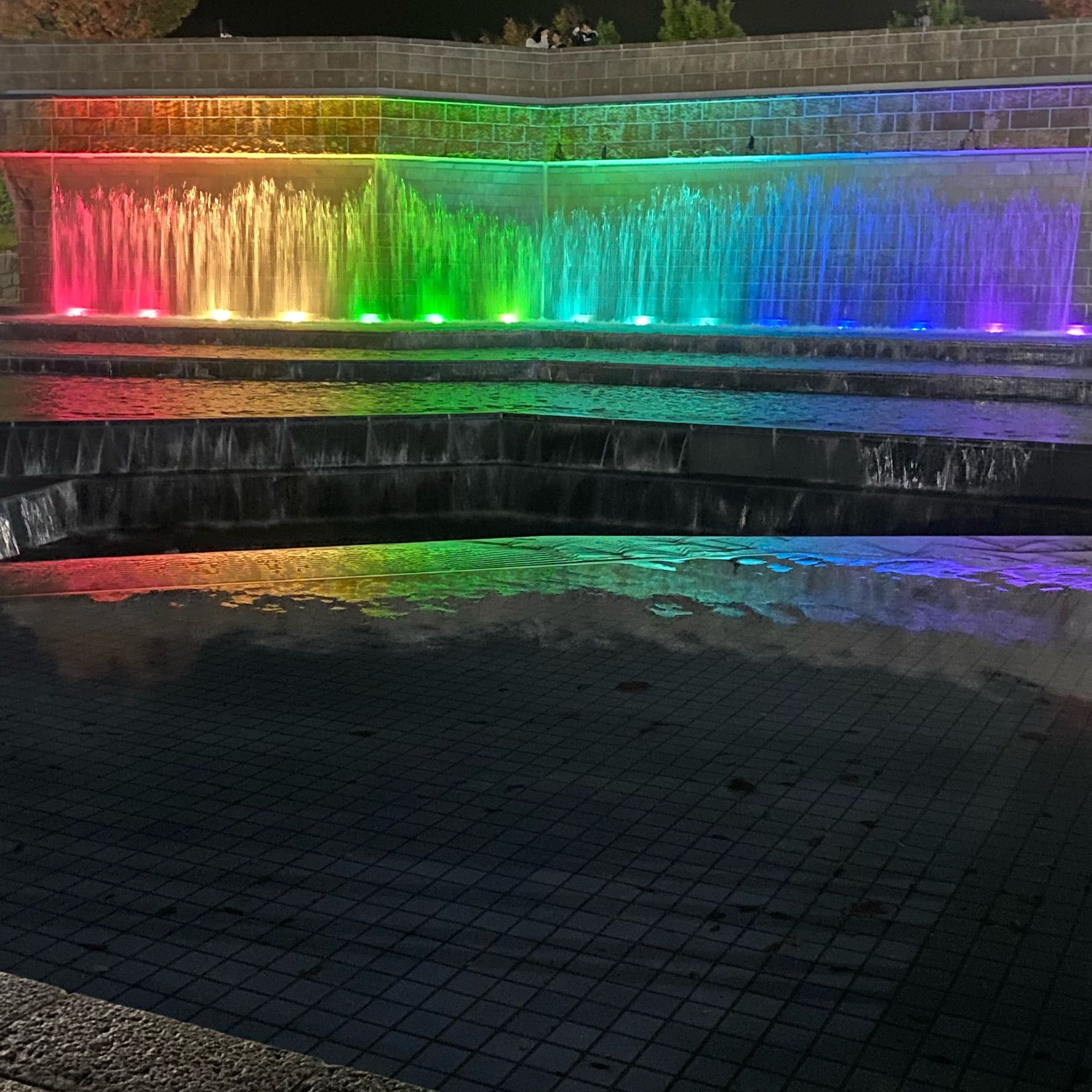 華のタイムライン642115-01-02 20:35:06投稿画像