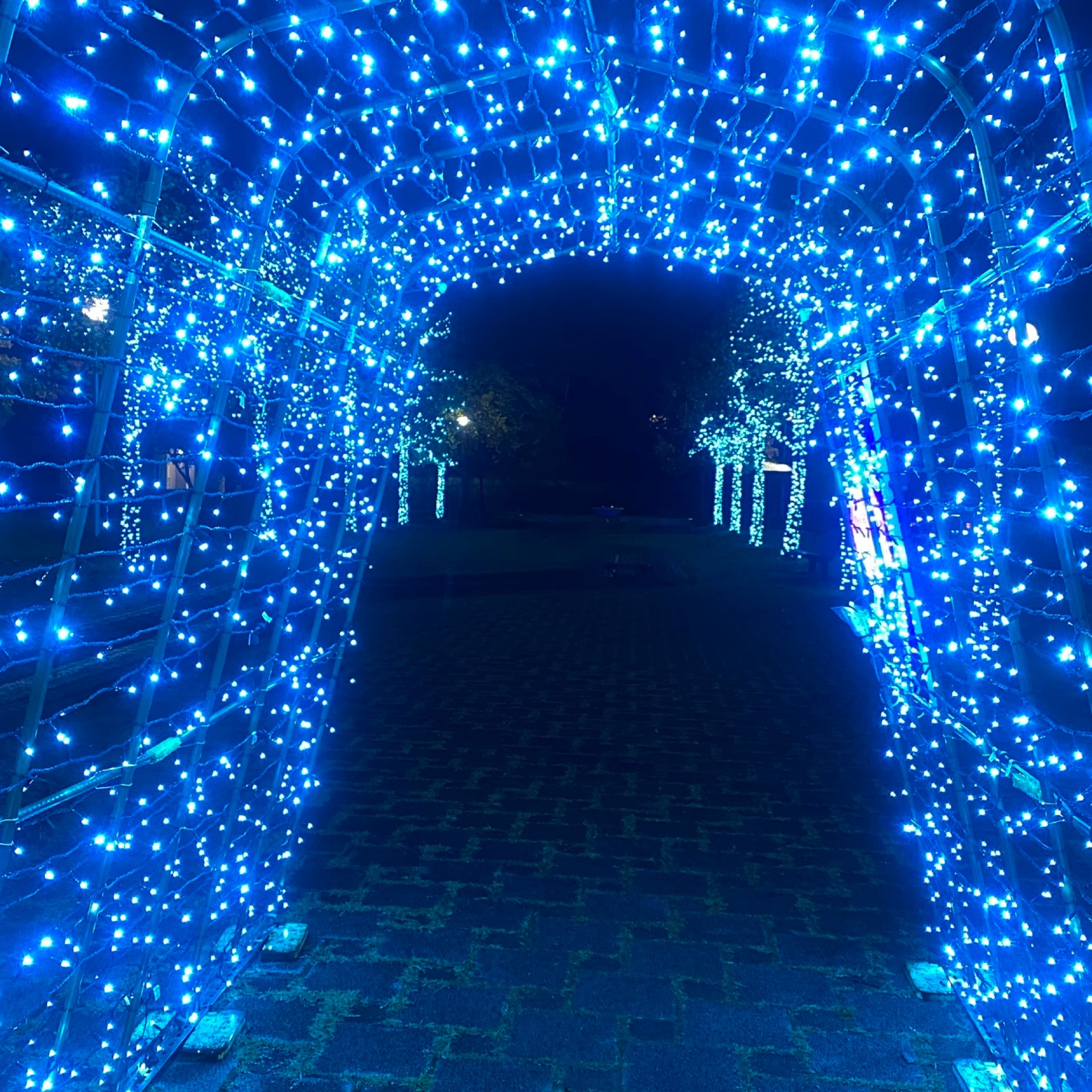 華のタイムライン642115-01-24 18:35:23投稿画像