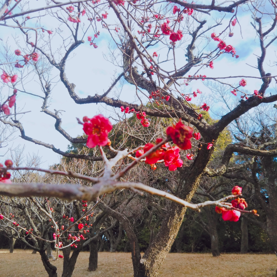 はるのタイムライン642402-10-19 05:02:19投稿画像