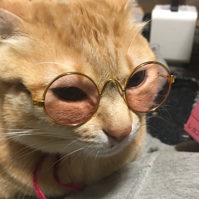 巳穂(みほ)のタイムライン642403-02-12 01:43:26投稿画像