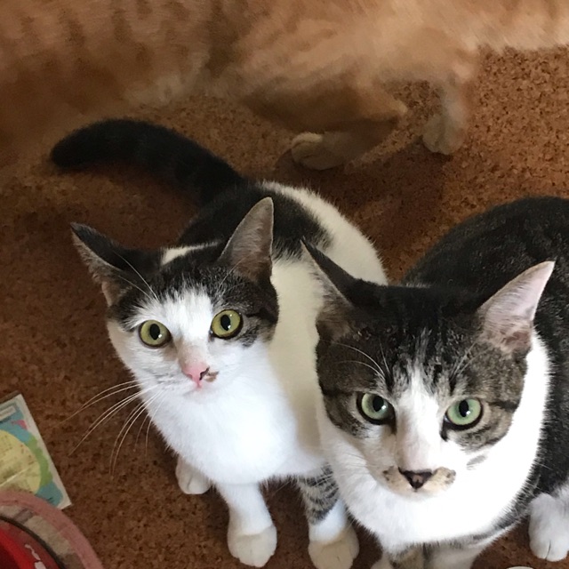 巳穂(みほ)のタイムライン642403-02-12 04:46:46投稿画像