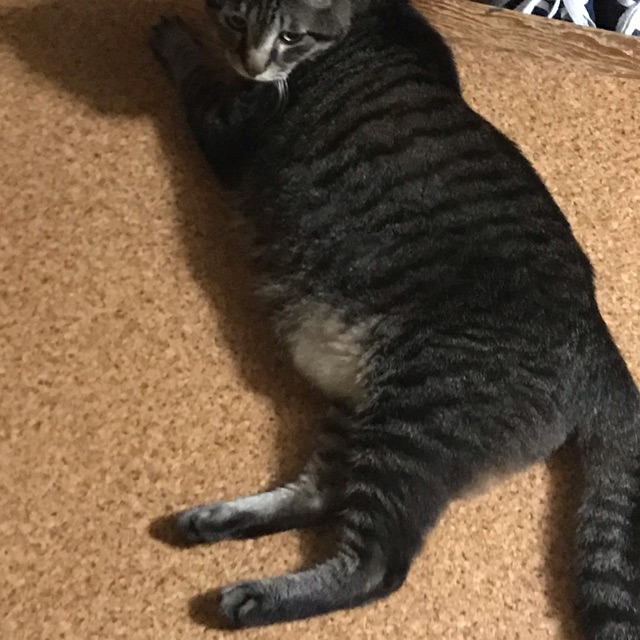 巳穂(みほ)のタイムライン642403-07-24 05:47:38投稿画像