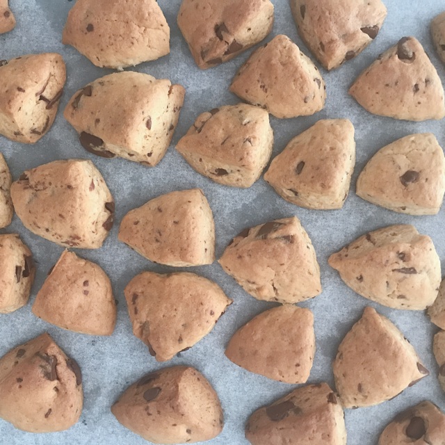 すずのタイムライン642406-02-06 05:40:53投稿画像