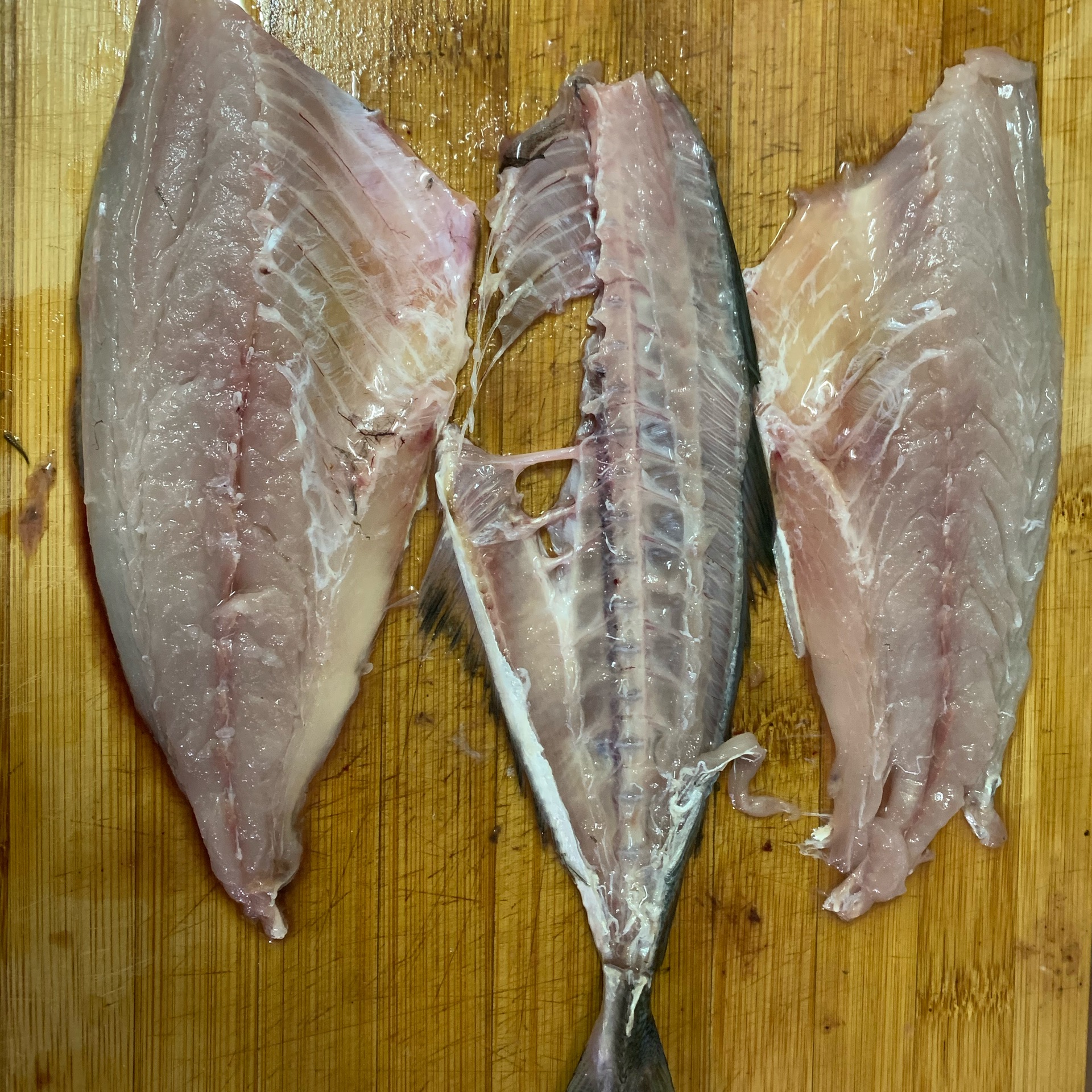 sakiのタイムライン642406-02-15 09:05:39投稿画像