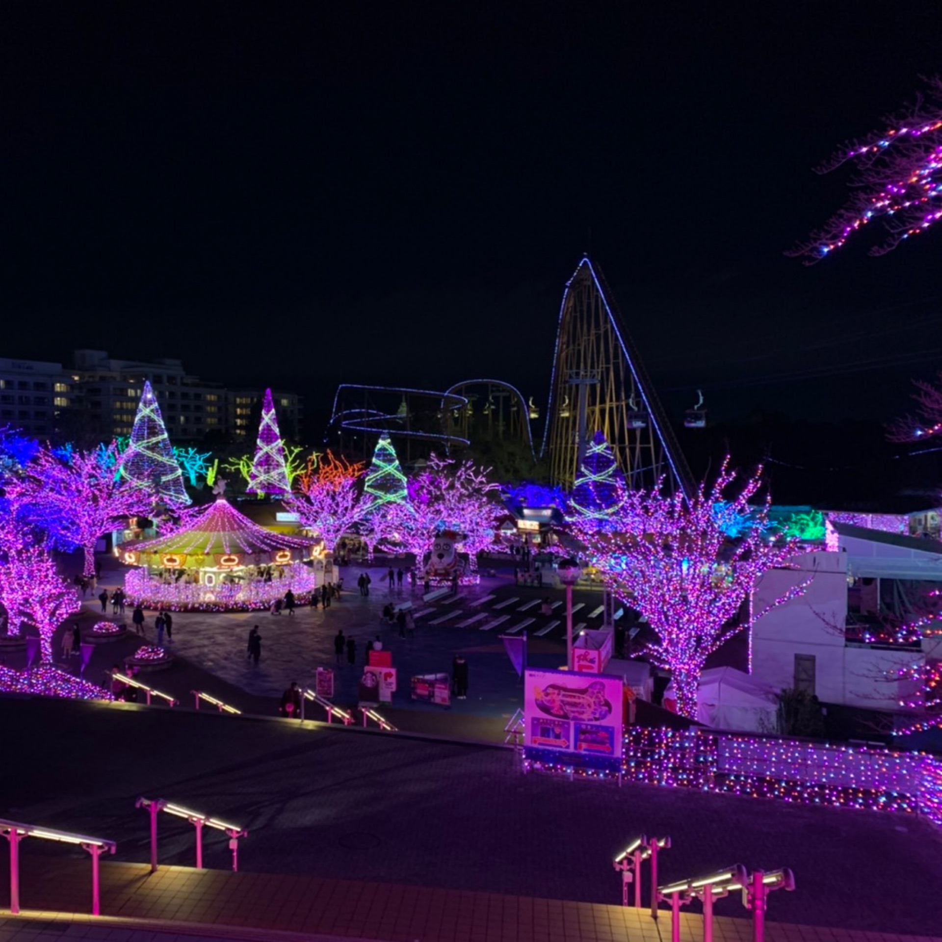 らびのタイムライン642406-05-07 20:37:31投稿画像