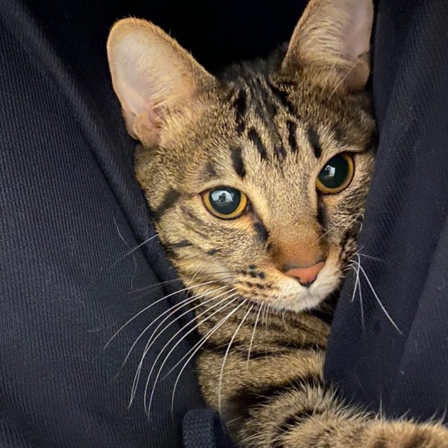 みぃのタイムライン642406-06-24 10:21:45投稿画像