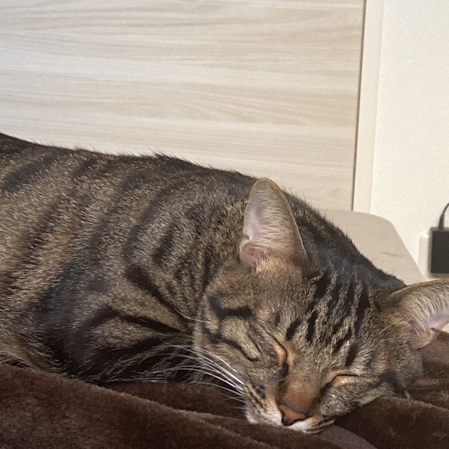 みぃのタイムライン642406-07-05 05:03:46投稿画像