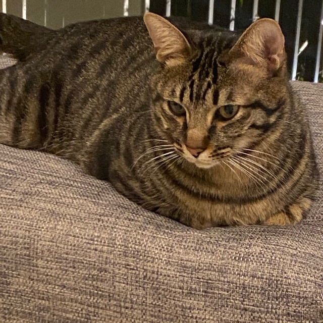 みぃのタイムライン642406-07-17 07:56:52投稿画像