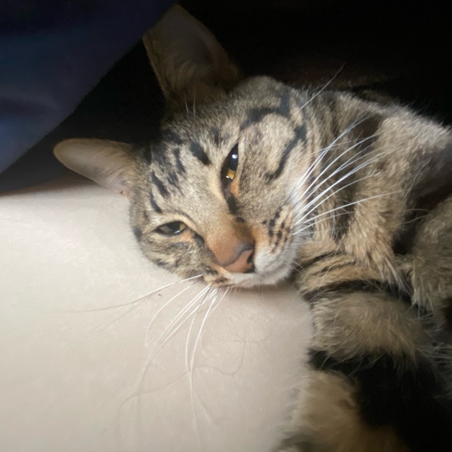 みぃのタイムライン642406-07-27 17:54:01投稿画像