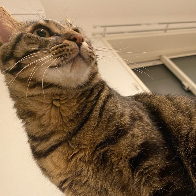 みぃのタイムライン642406-08-20 02:51:43投稿画像