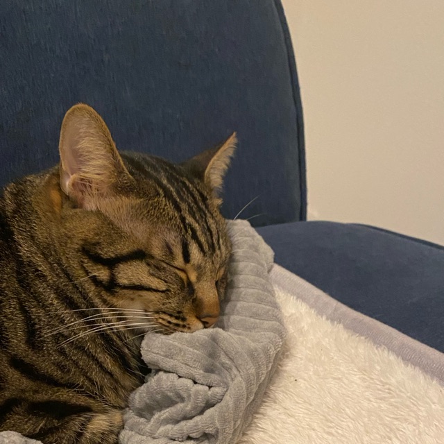 みぃのタイムライン642408-12-24 15:48:52投稿画像