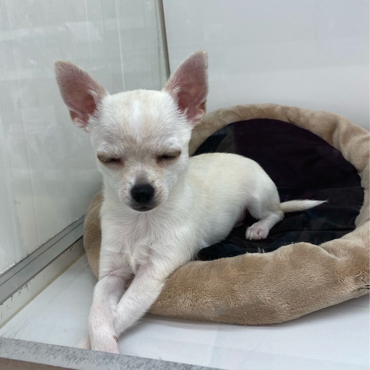 NANAのタイムライン642409-01-27 11:38:50投稿画像