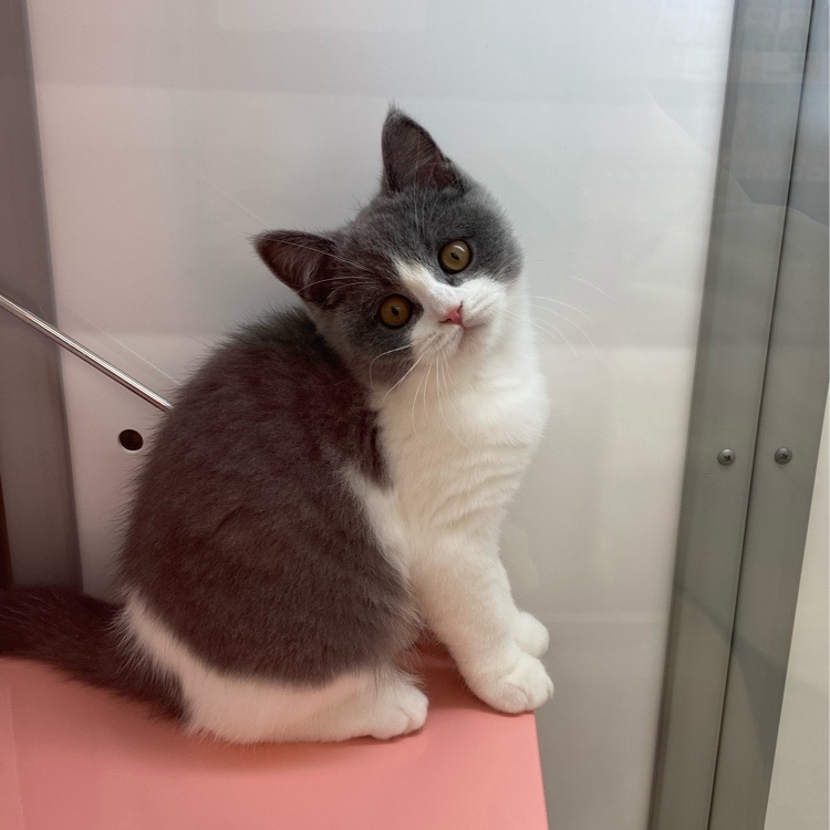 NANAのタイムライン642409-01-27 11:40:35投稿画像