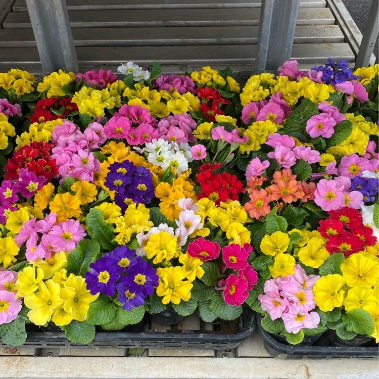 NANAのタイムライン642409-01-27 11:42:13投稿画像