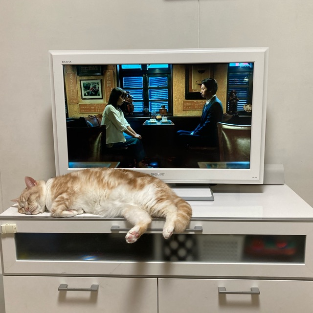 エマのタイムライン642409-04-07 18:00:40投稿画像